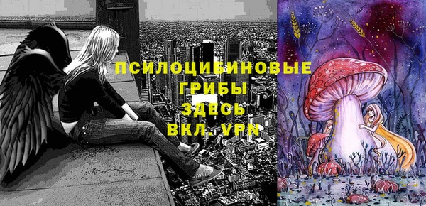 jwh Гусь-Хрустальный