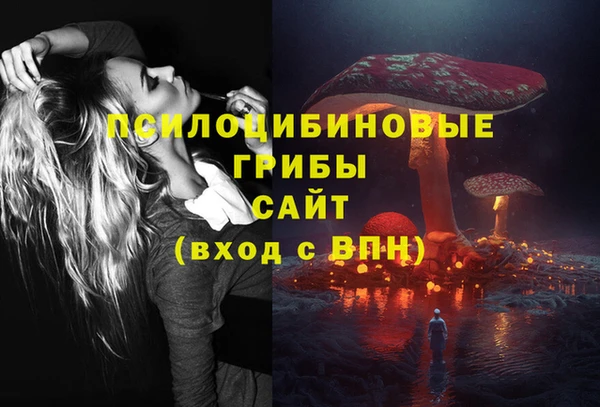 кристаллы Гусиноозёрск