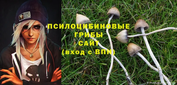кристаллы Гусиноозёрск