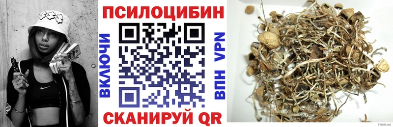 Псилоцибиновые грибы Psilocybe  Купить  Тавда 